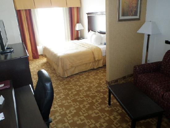 Comfort Suites West Dallas - Cockrell Hill