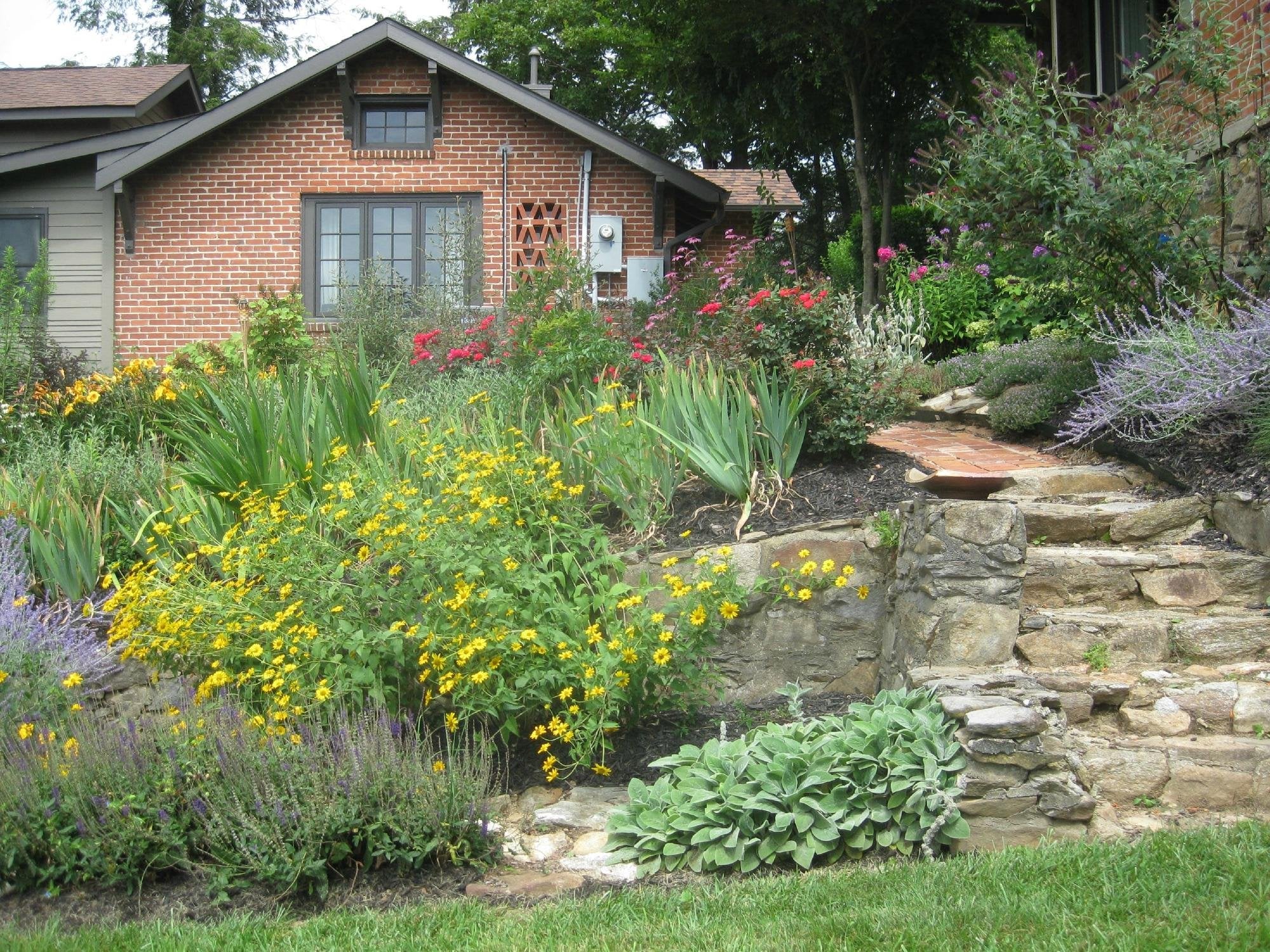 Bittersweet Cottage & Suite