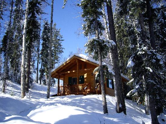 Hillside Lodge and Chalets