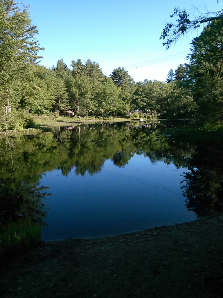 Campendium Acres Of Wildlife Camping, Steep Falls | Campendium