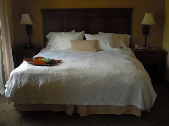 Hampton Inn & Suites Ephrata - Mountain Springs