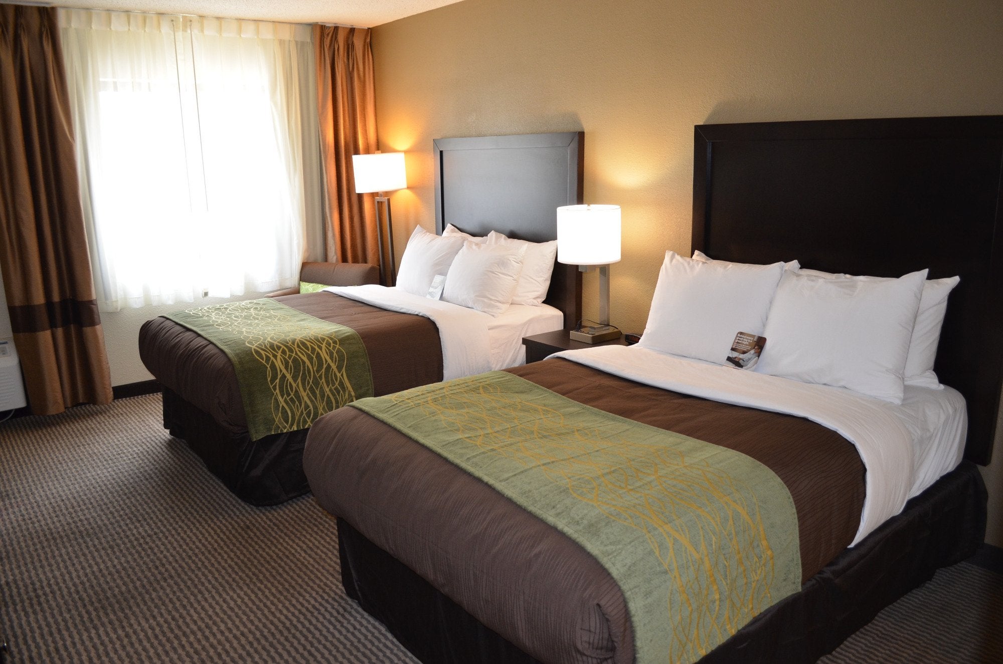 Comfort Inn Downtown Detroit