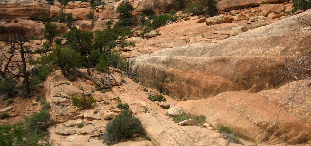 Photo of Mule Canyon, Ut
