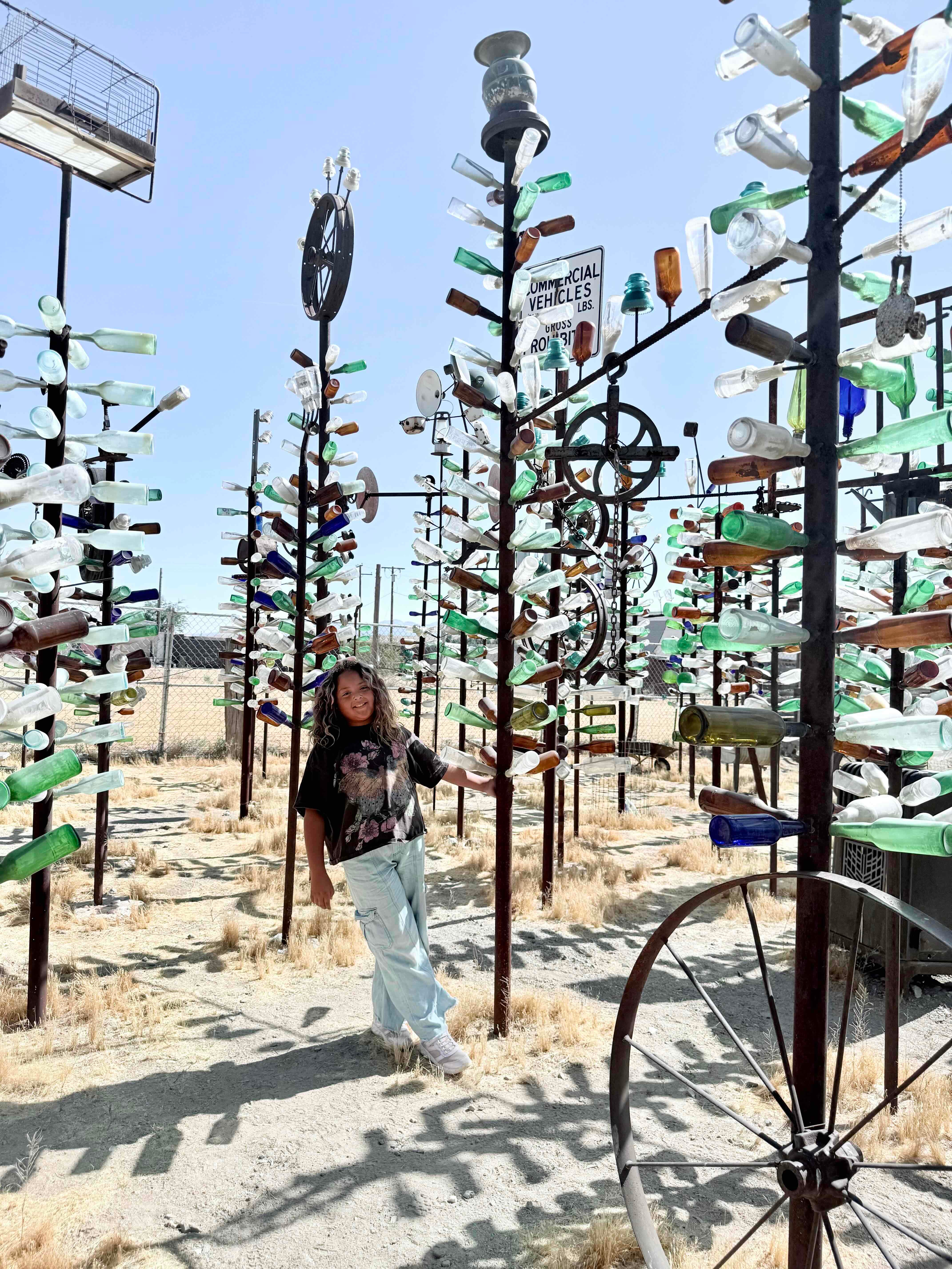 Elmer's Bottle Tree Ranch