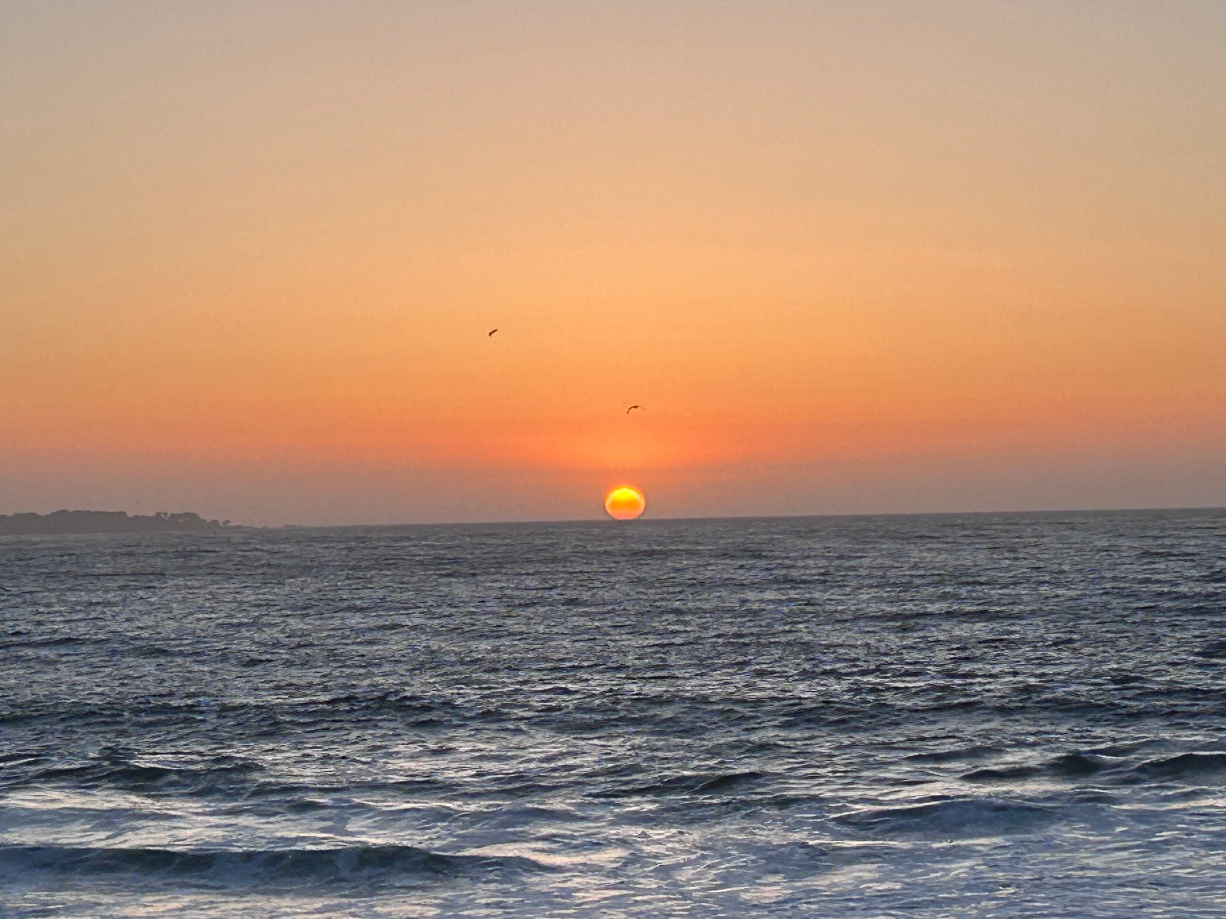 Monterey Beach Hotel, A Tribute Portfolio Hotel