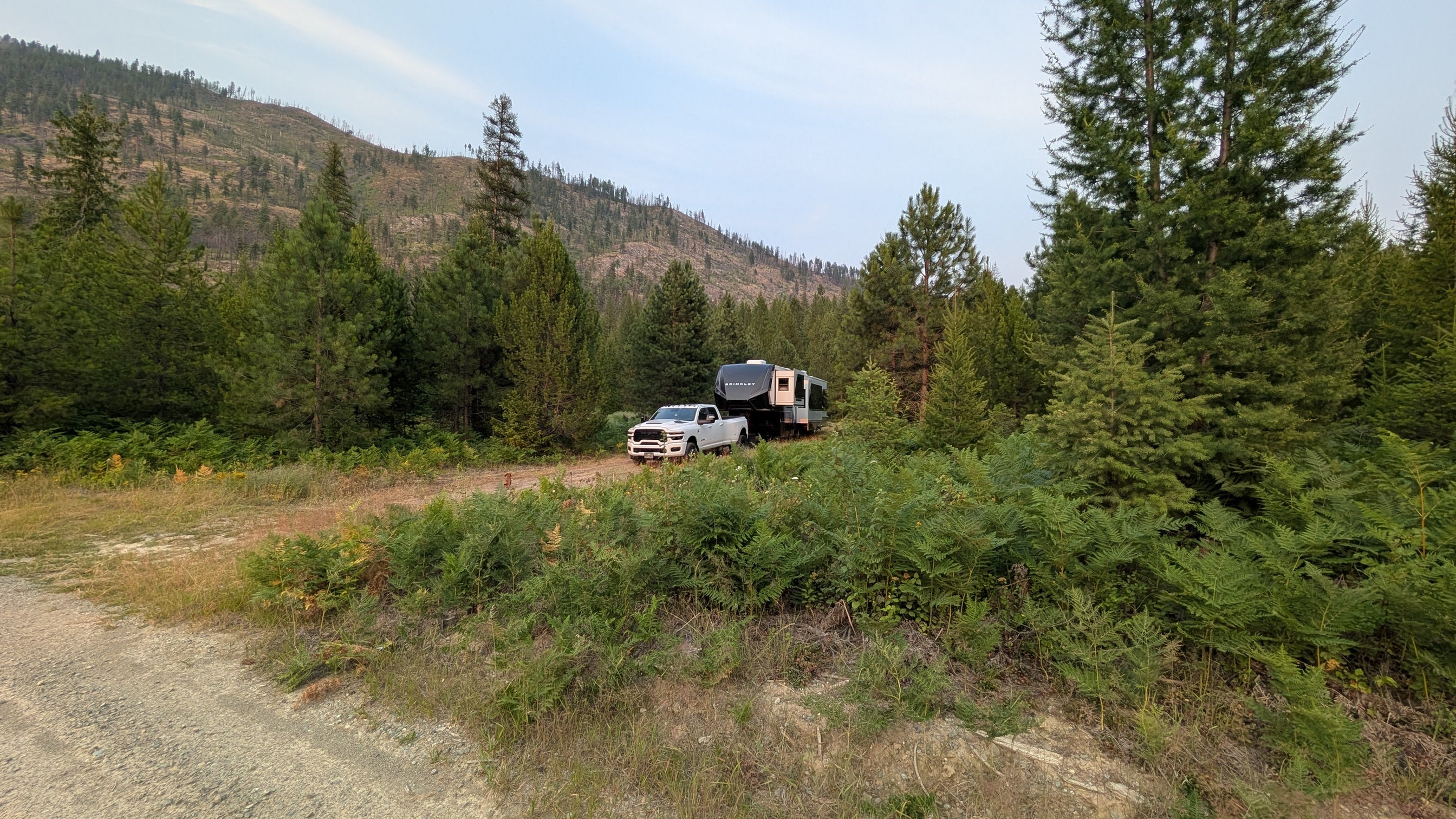 Forest Road 176 Dispersed Camping