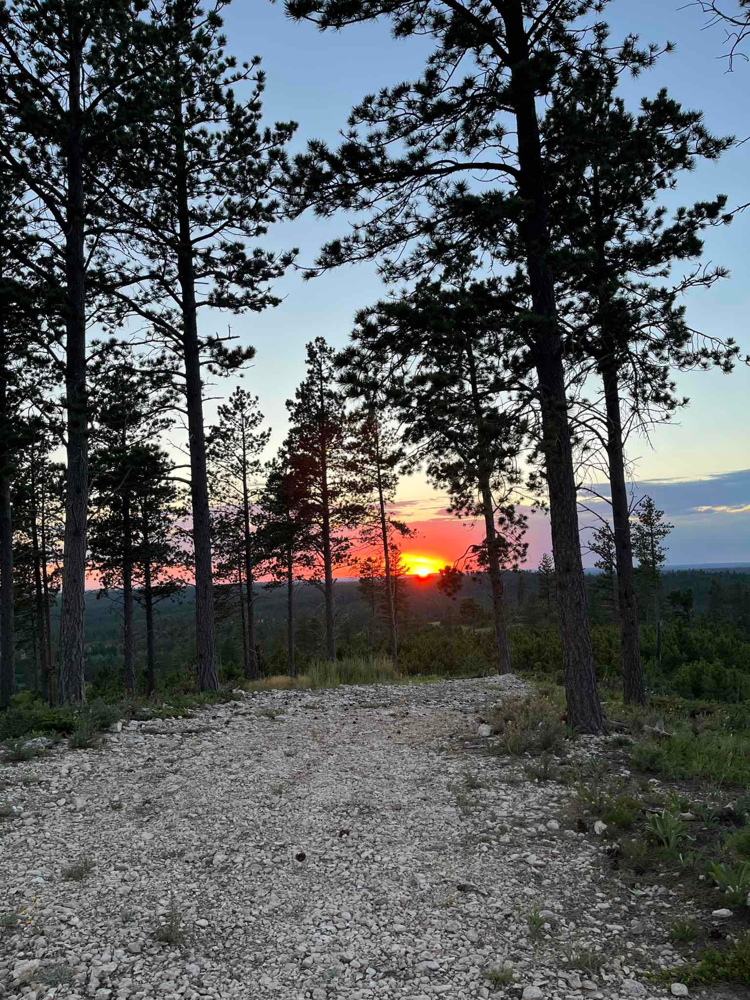 Bear Mountain Lookout Road Dispersed Camping