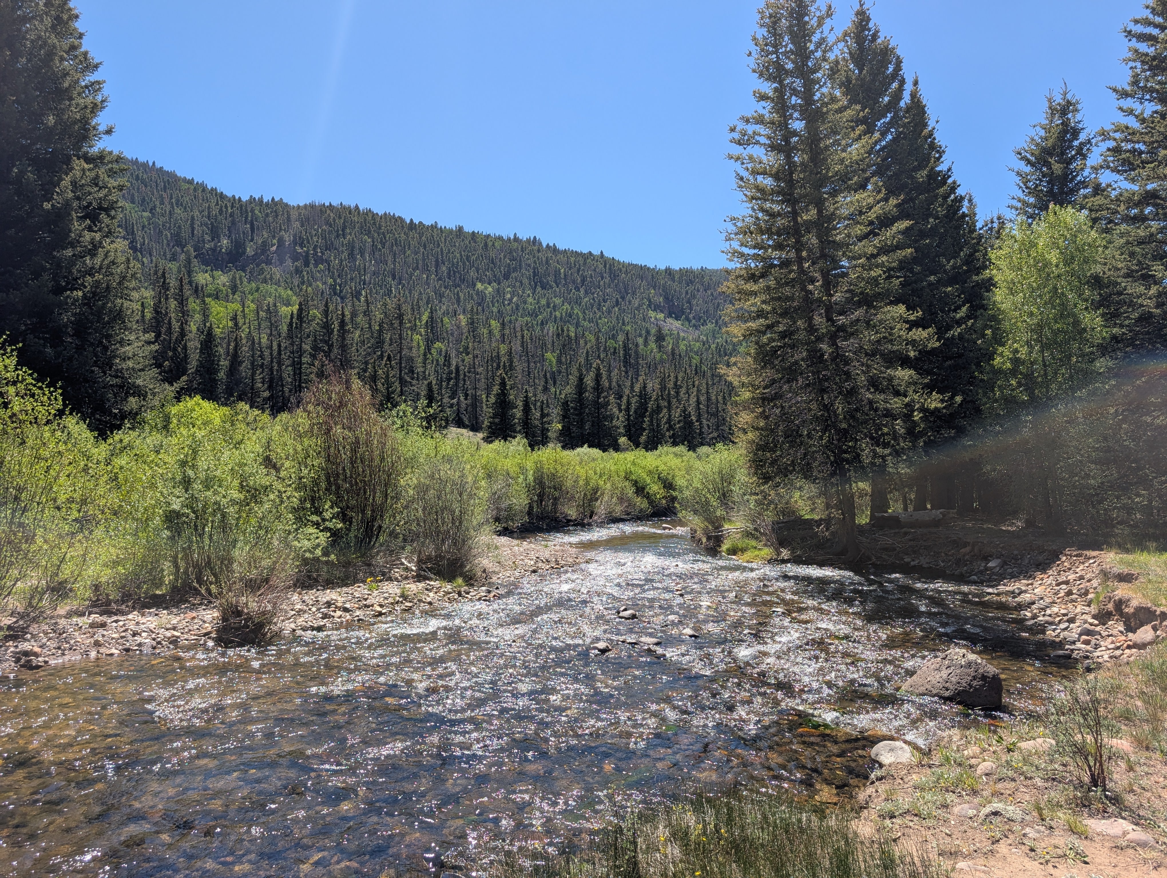 Park Creek Dispersed Camping