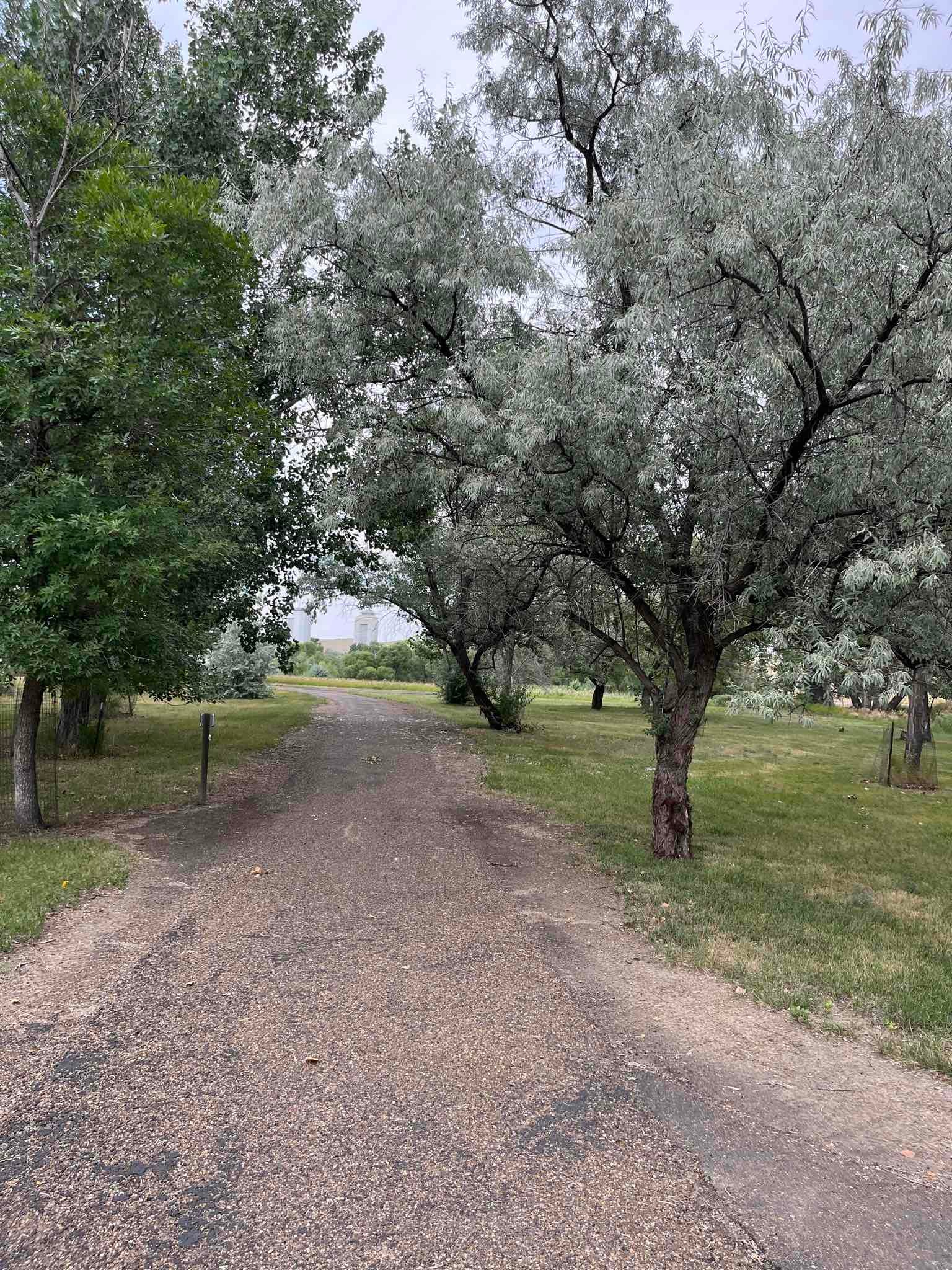 Downstream Campground