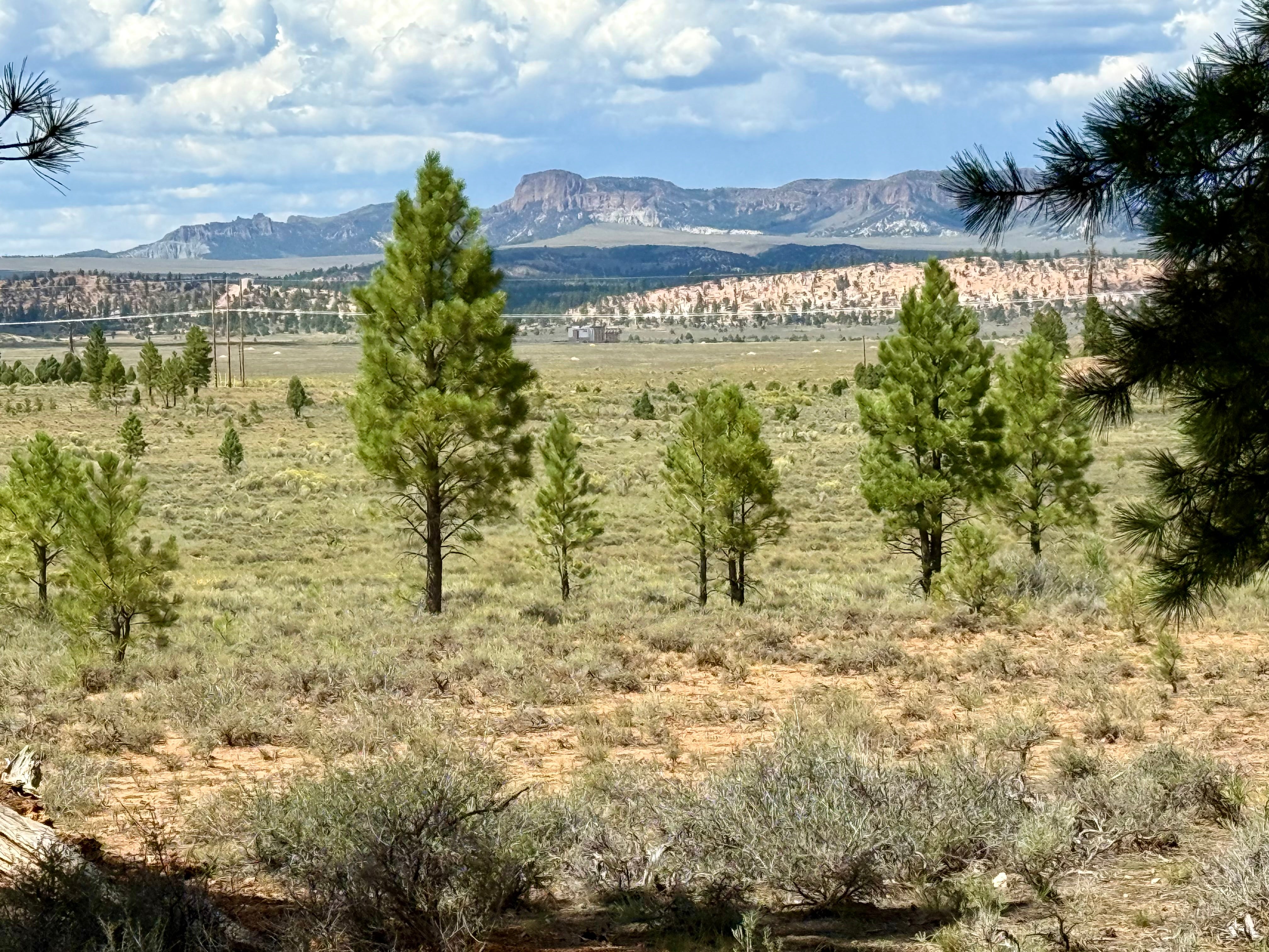 Dave's Hollow Designated Dispersed