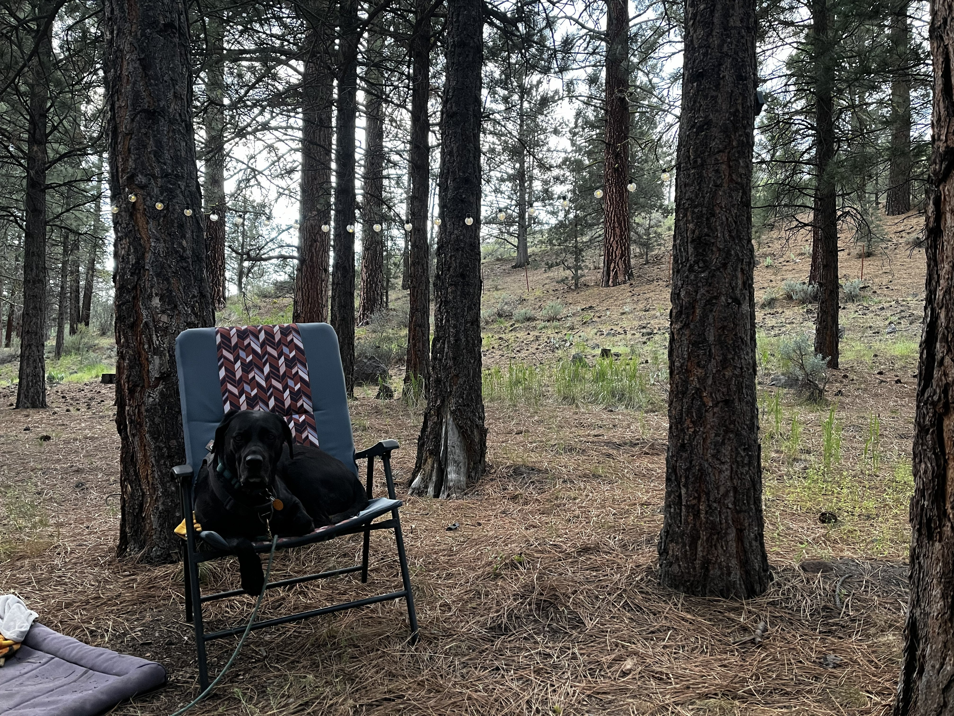 Willow Creek Campground