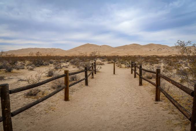 Kelso Dunes Trail Trailhead