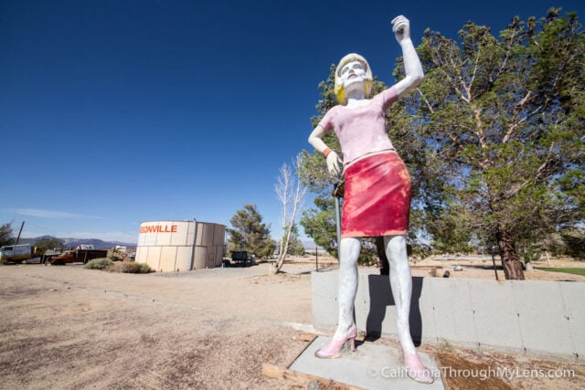 Uniroyal Gal - Hubcap Capital of the World