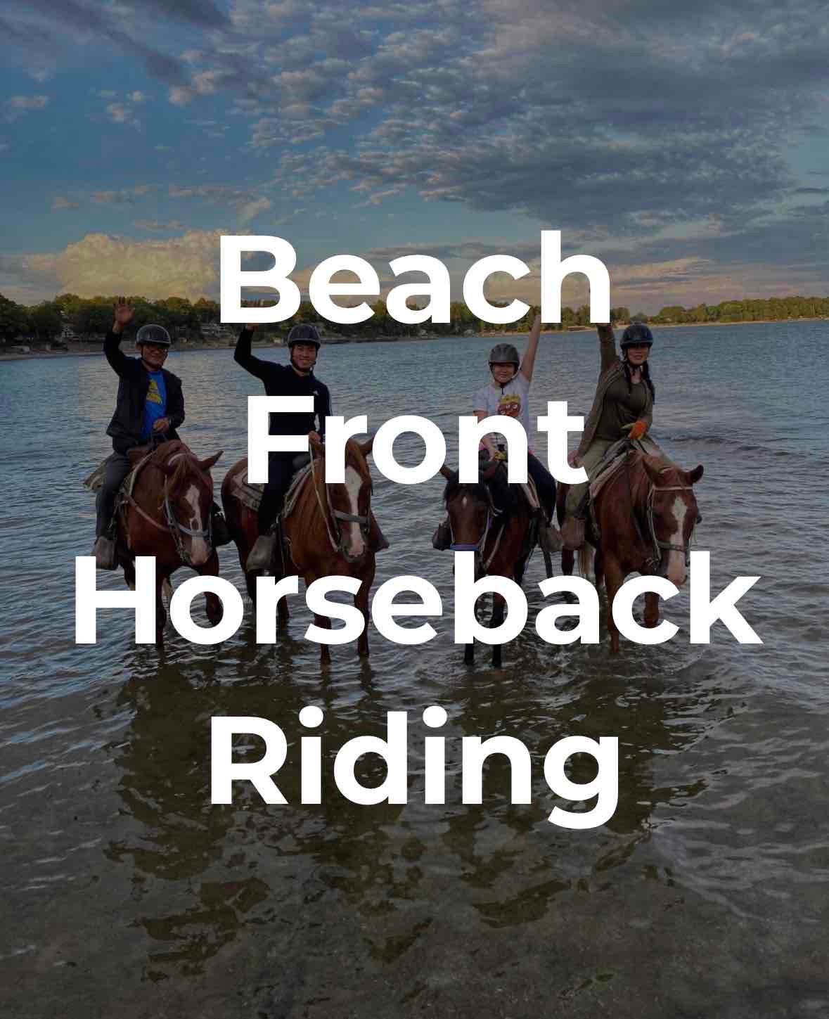 HorsePlay Niagara