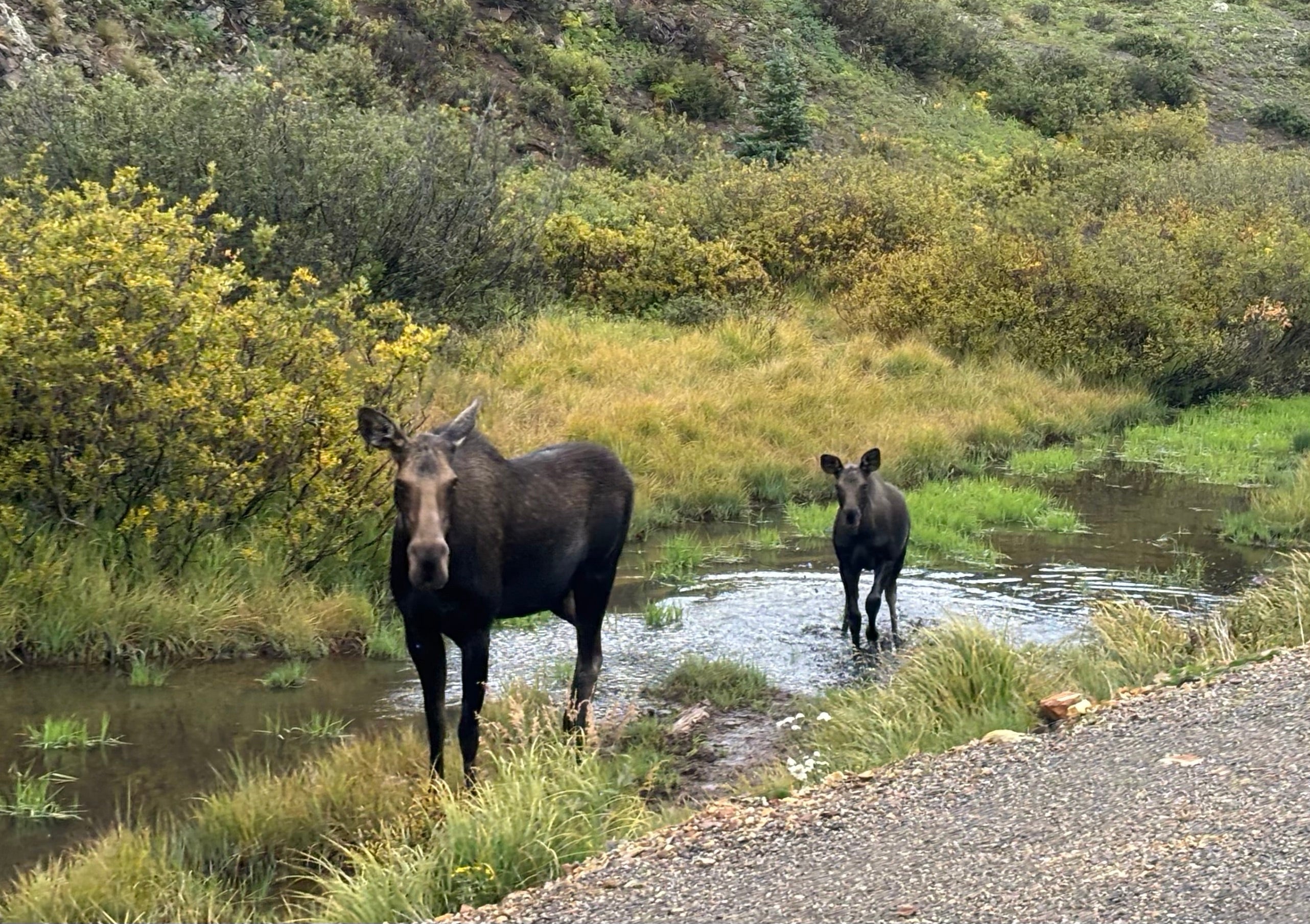 South Mineral Campground