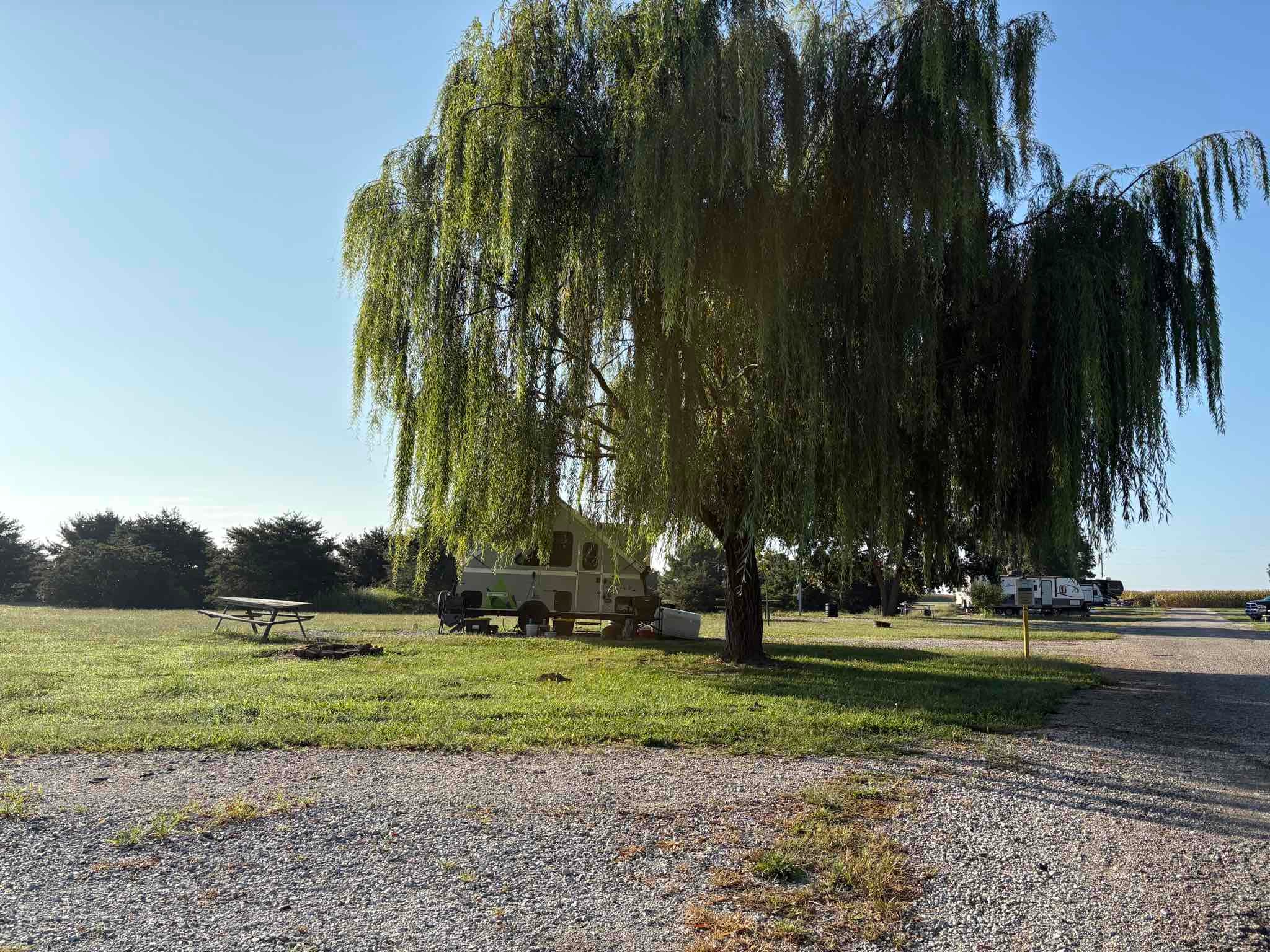 Buena Vista Farms, Inc.