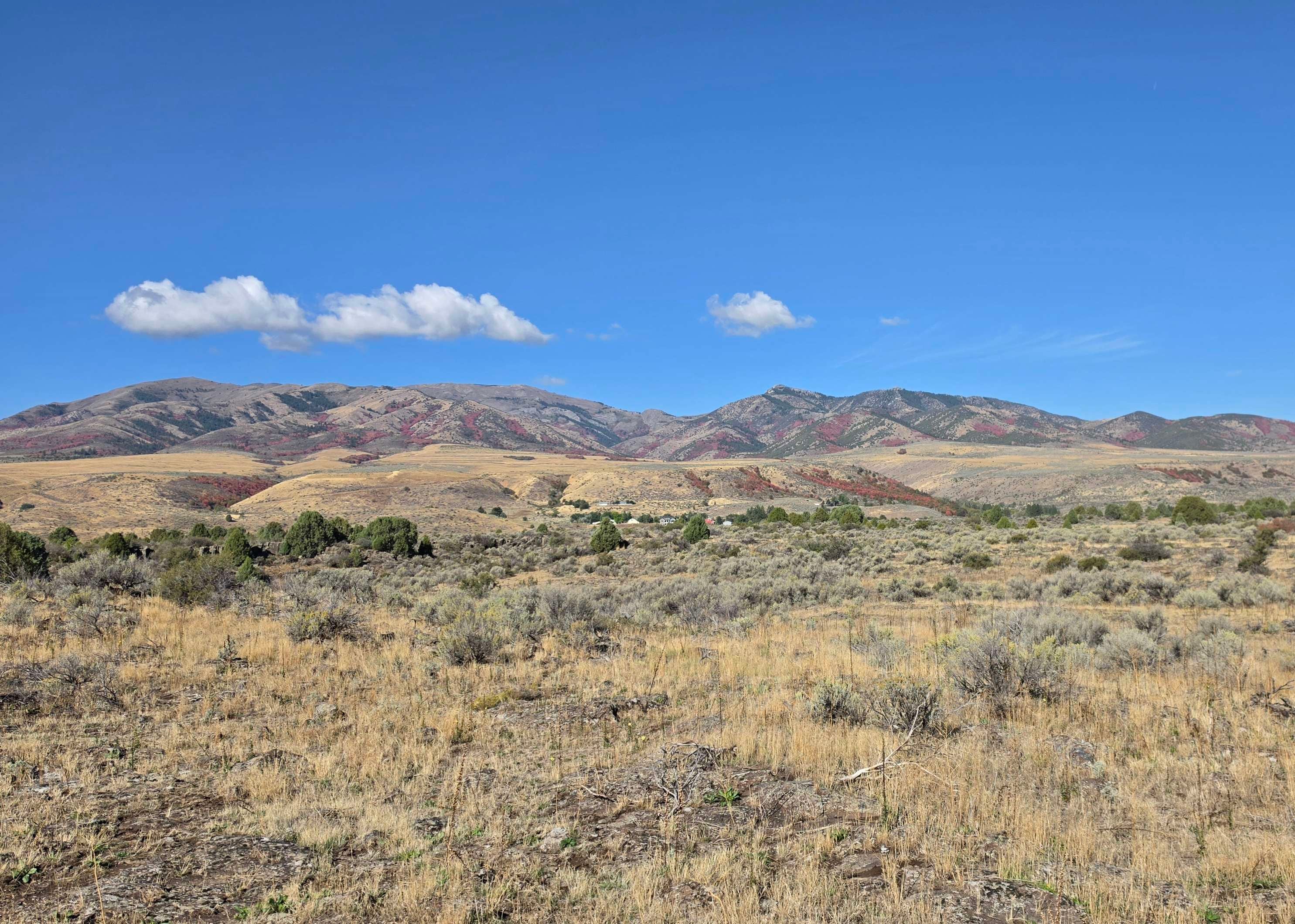 Indian Rocks Dispersed Camping
