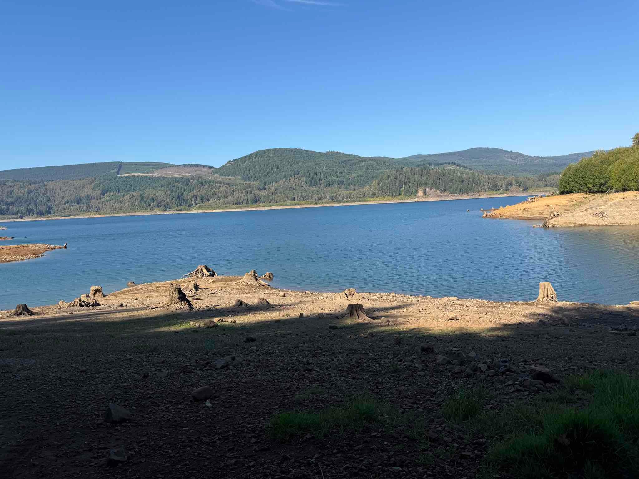 Riffe Lake Campground