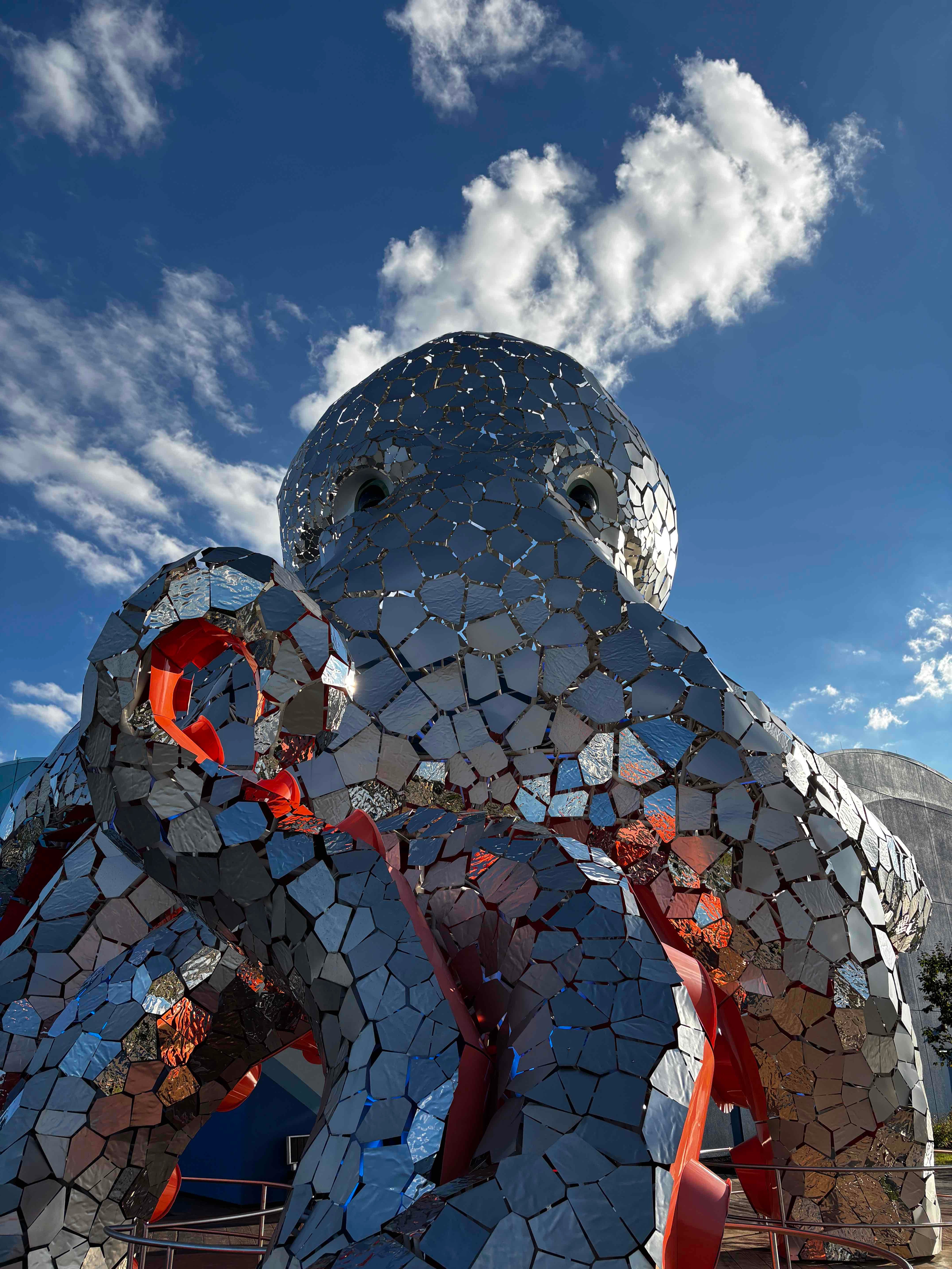 Giant Silver Octopus