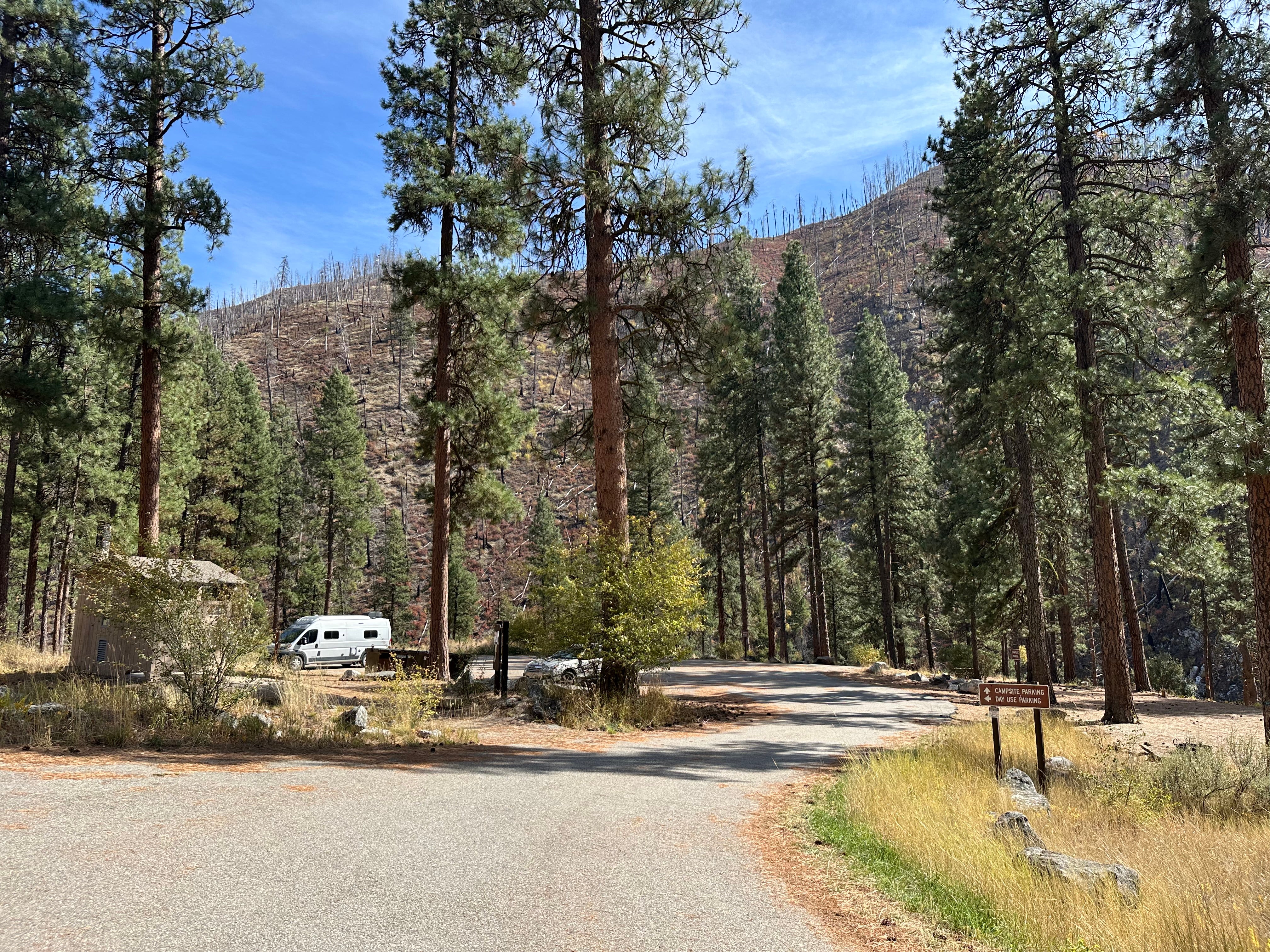Pine Flats Campground