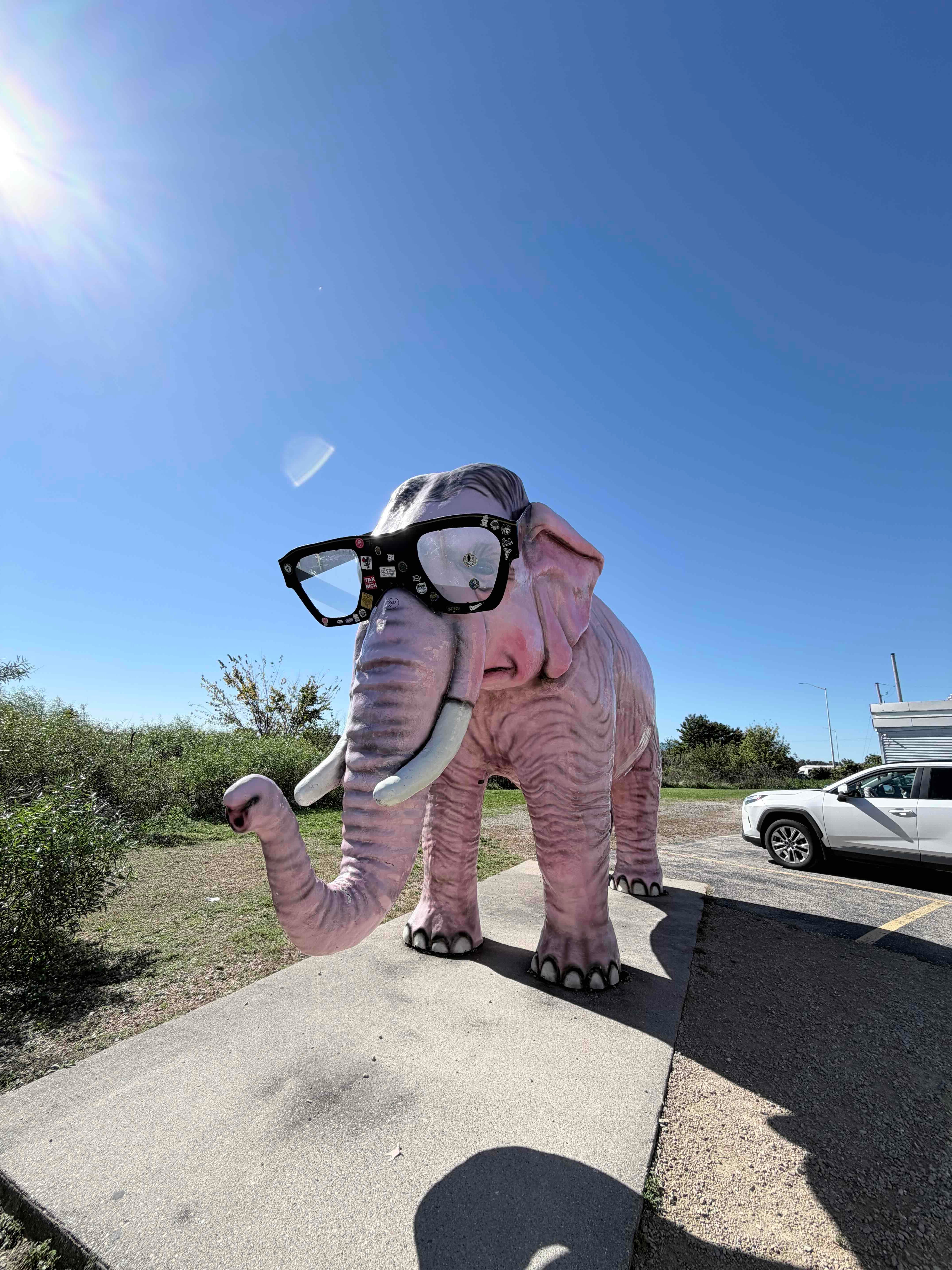 Pink Elephant