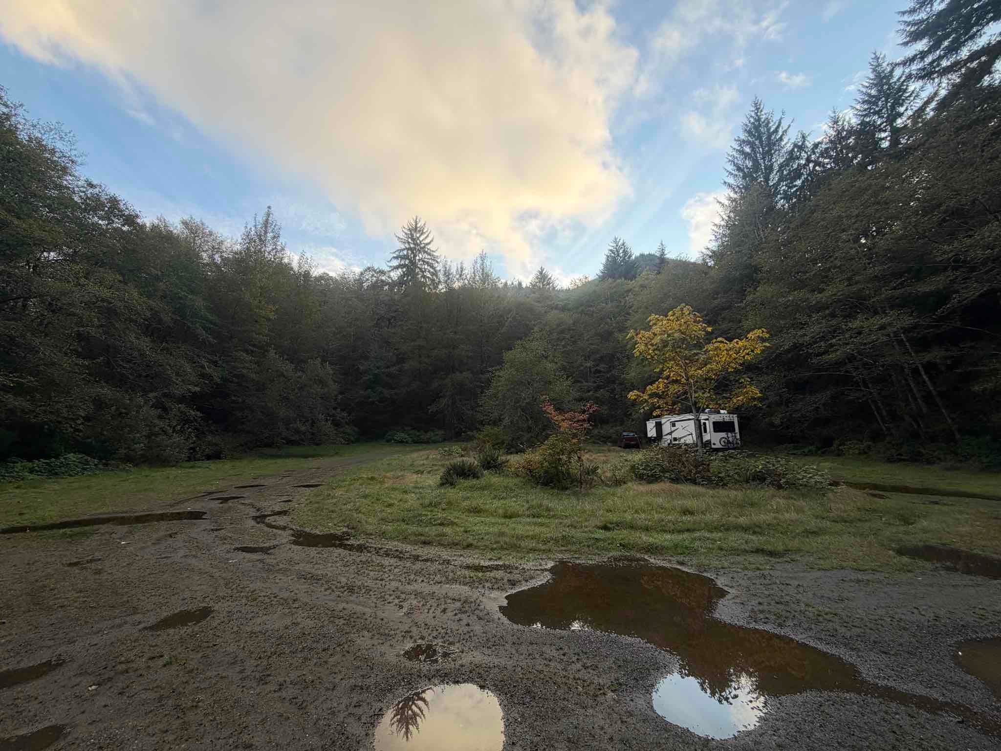 Forest Road 29 Dispersed Camping