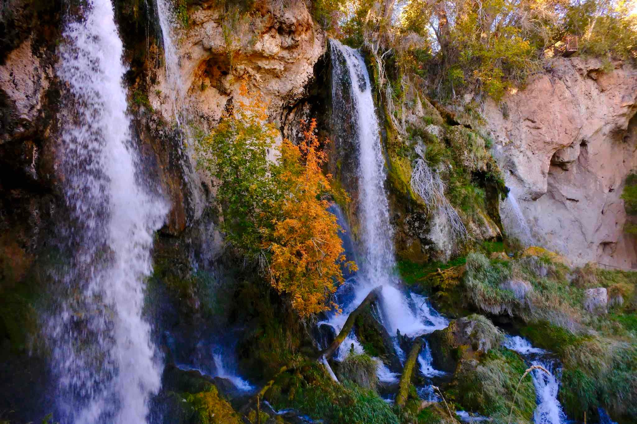 Rifle Falls Campground