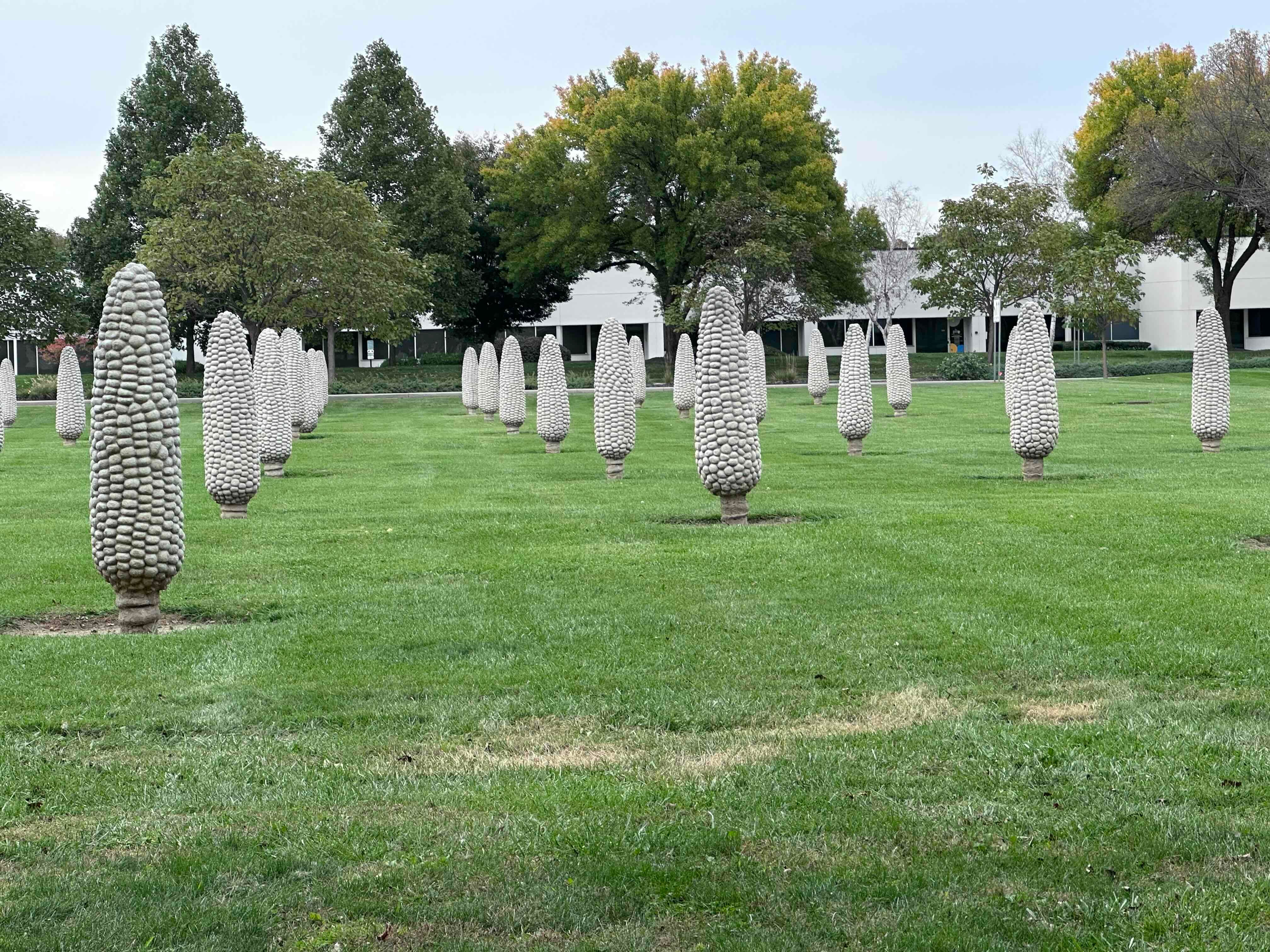 Concrete Cornfield