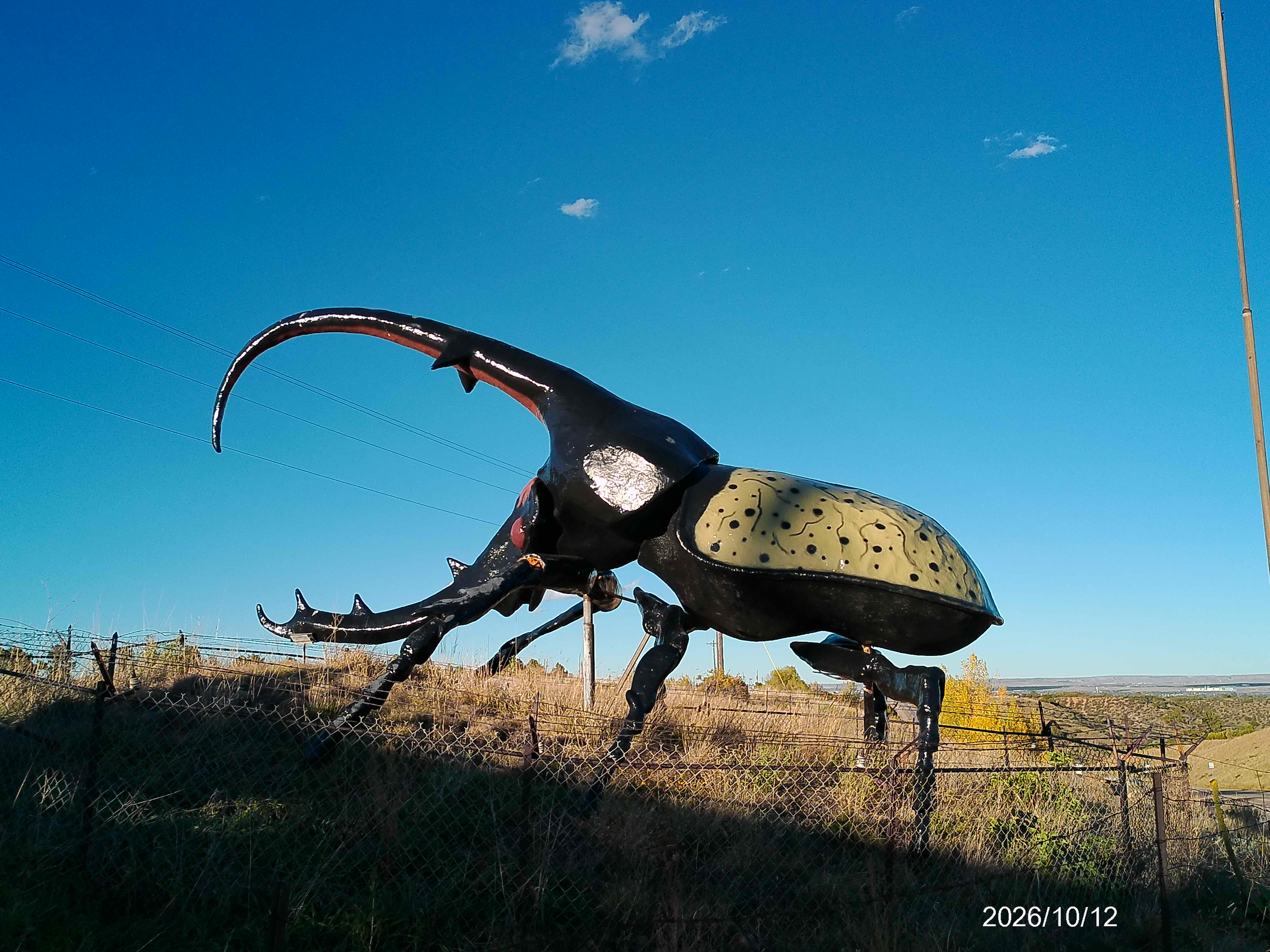 Herkimer: World's Largest Beetle