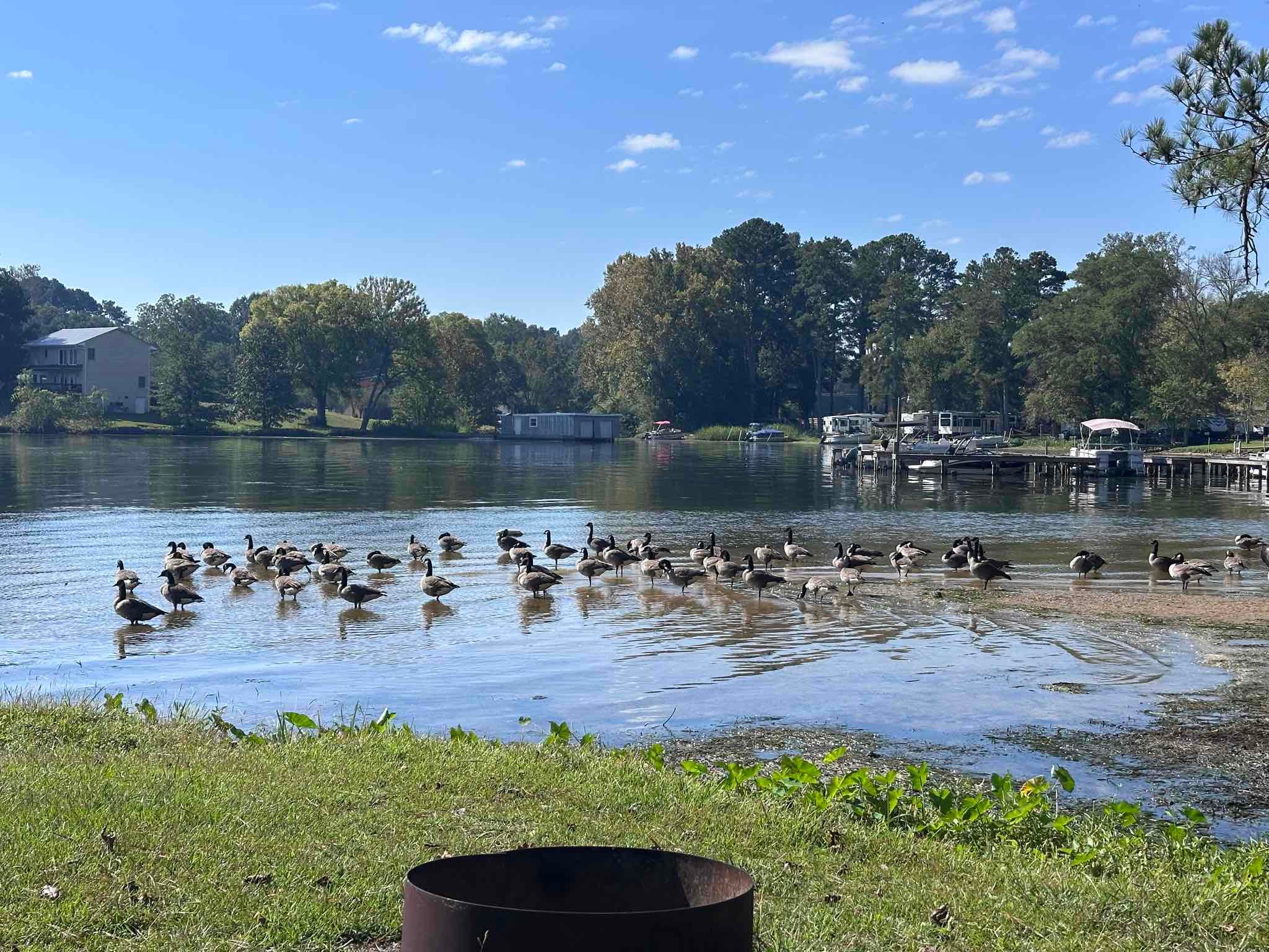Riverview Campground