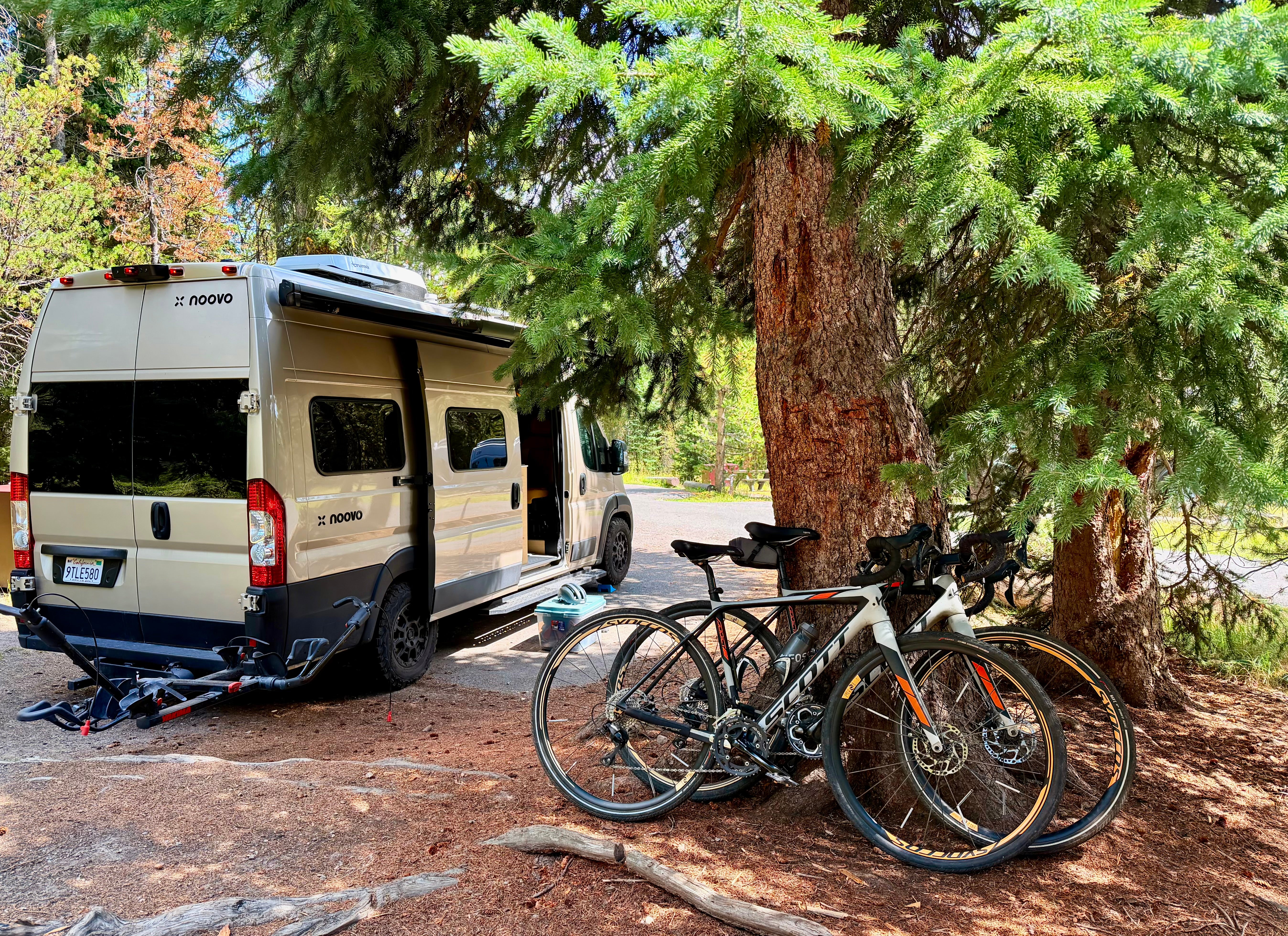 Bridge Bay Campground