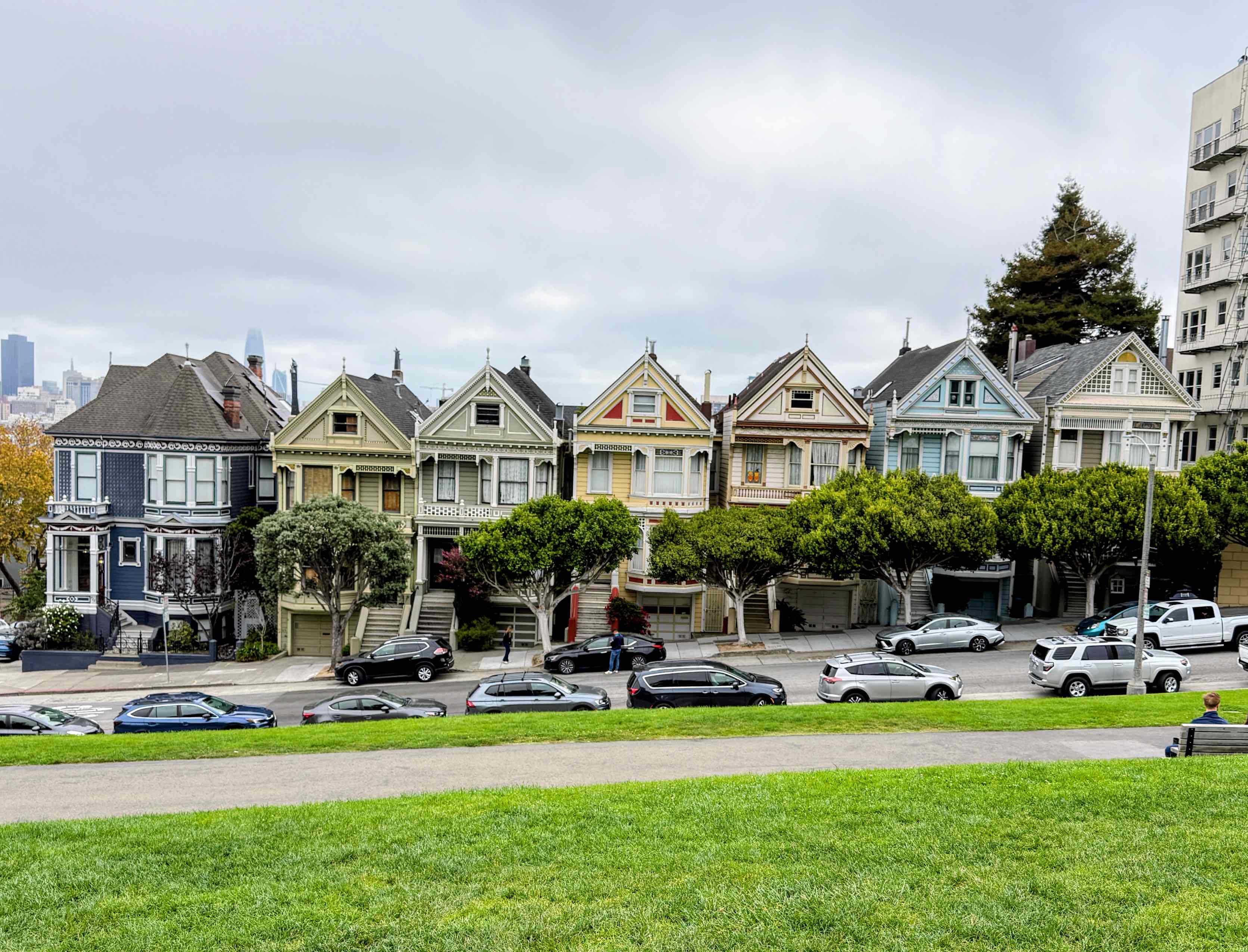 Painted Ladies