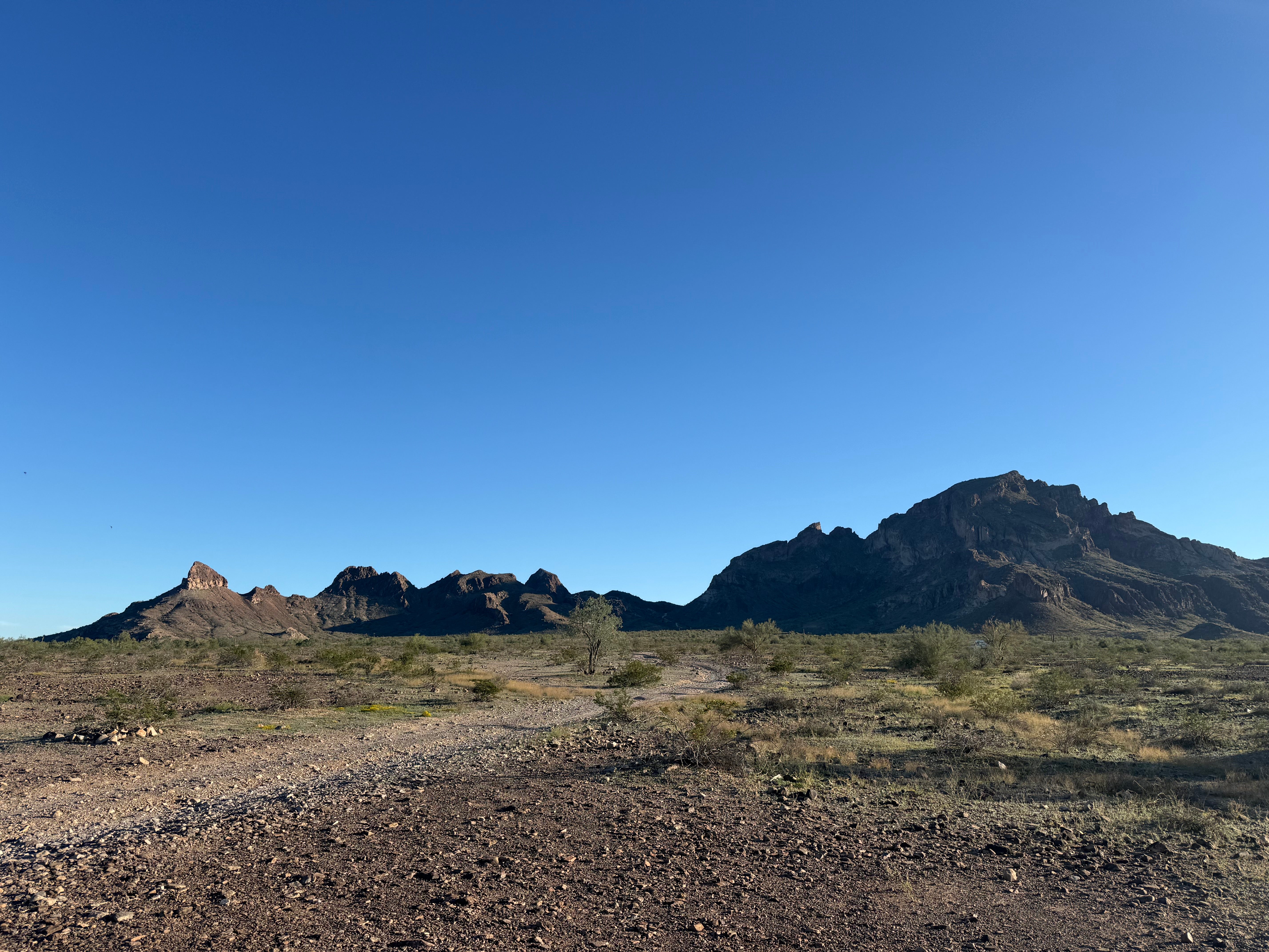 Saddle Mountain Dispersed Camping