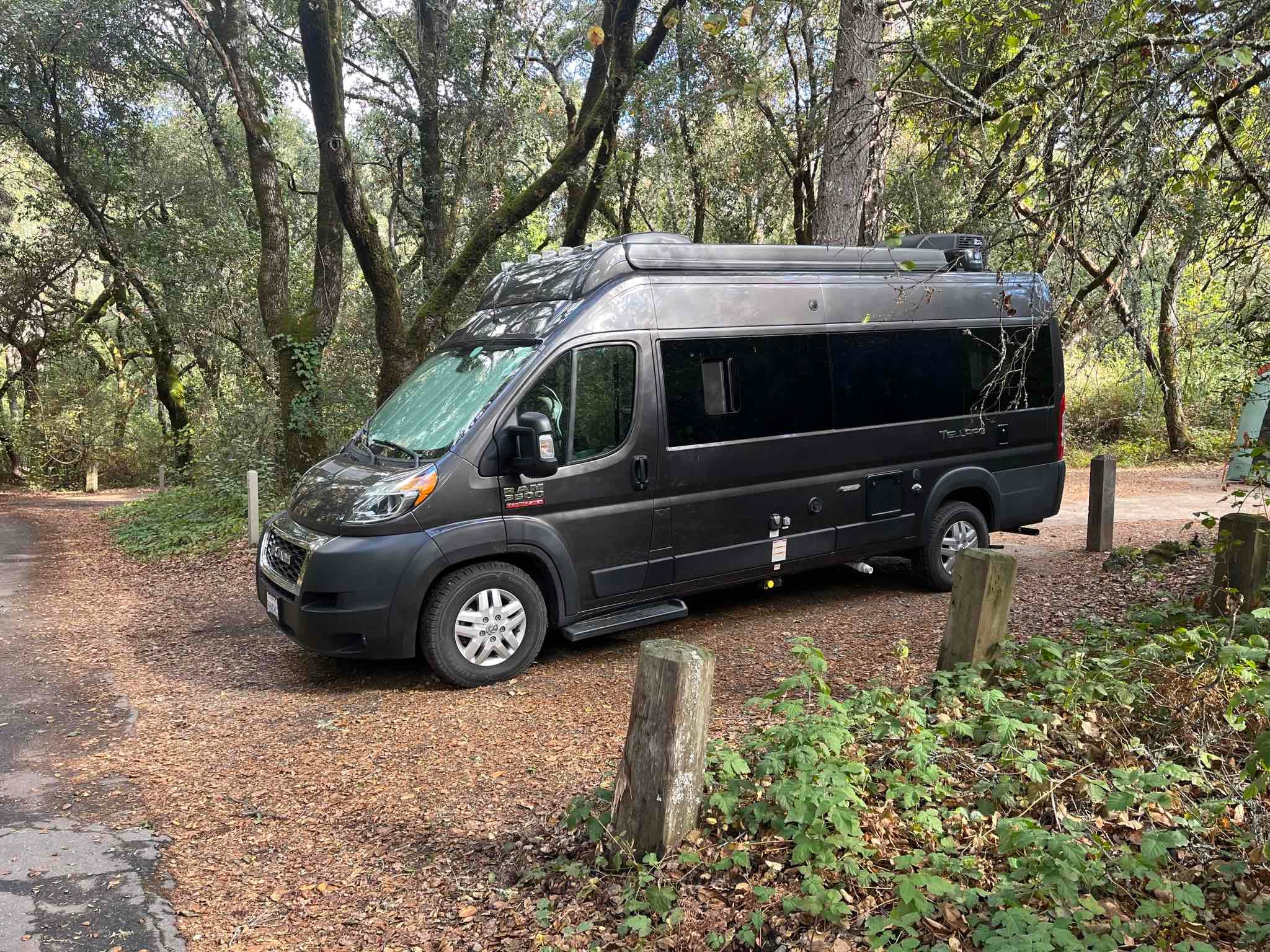 Henry Cowell Redwoods State Park Campground