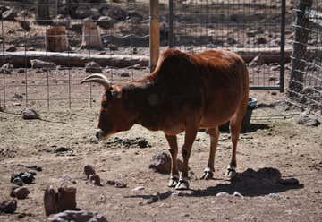 Photo of Deer Farm and Petting Zoo