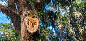 The Tree Spirits of St. Simons Island