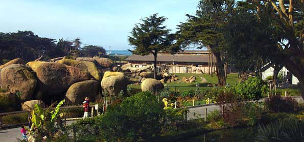 Photo of San Francisco Zoo