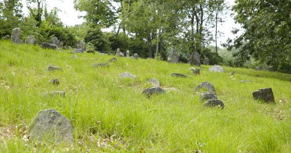Jewett City Vampire Graves, Jewett City Roadtrippers