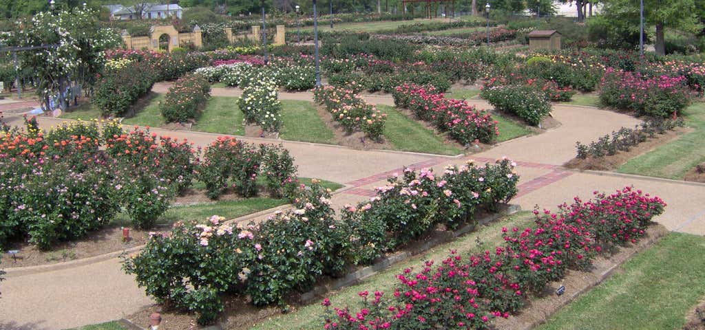 Photo of Tyler Municipal Rose Garden