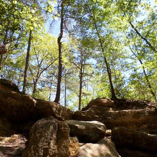 Peachtree Rock Nature Preserve
