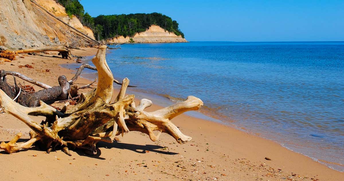 Brownies Beach Trip Roadtrippers