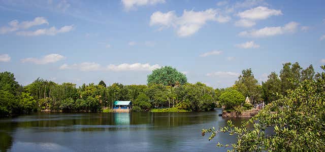 Photo of Discovery Island