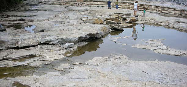 Photo of Devonian Fossil Gorge