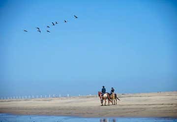 Photo of San Diego Beach Rides, Wagon Rides And Horse Rentals