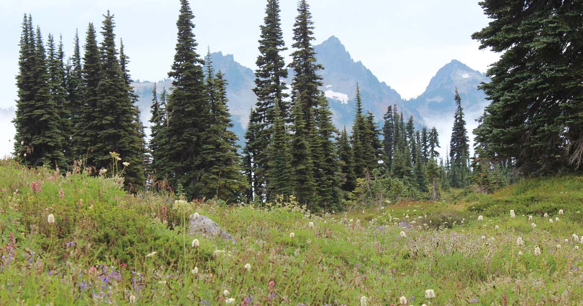 Clear Lake North, Naches Roadtrippers