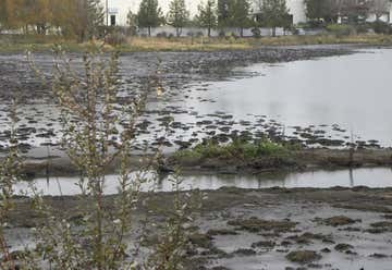 Photo of Koll Center Wetlands Park