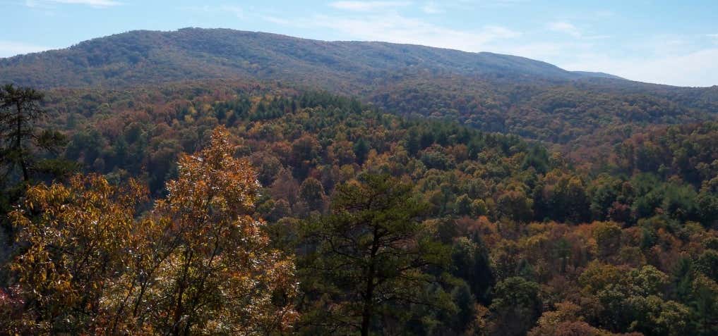 Photo of Green Ridge State Forest