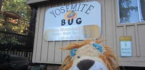 Yosemite Bug Spa & Resort