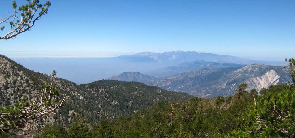 Photo of Mt. San Gorgonio Trail