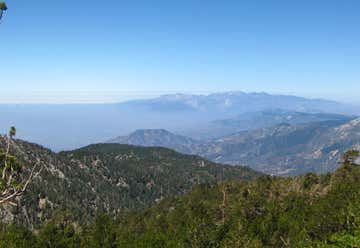 Photo of Mt. San Gorgonio Trail